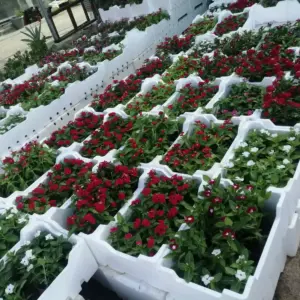 تفاصيل للمقاولات العامة | تنسيق حدائق