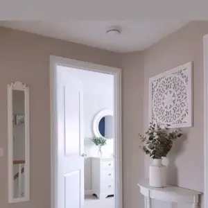 0713 تفاصيل للمقاولات العامة | دهانات