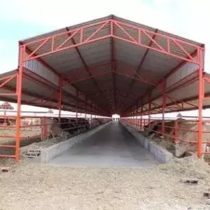 1140 تفاصيل للمقاولات العامة | هناجر